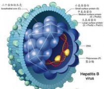 宣城生殖器疱疹有哪些症状